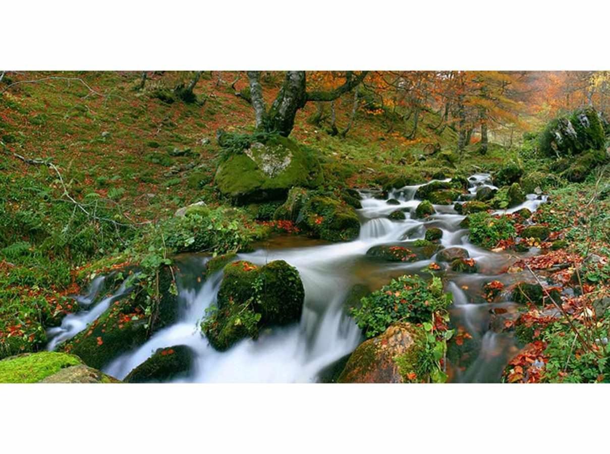 Casa Rural La Carrozal Senda Del Oso Orelleiru Bagian luar foto