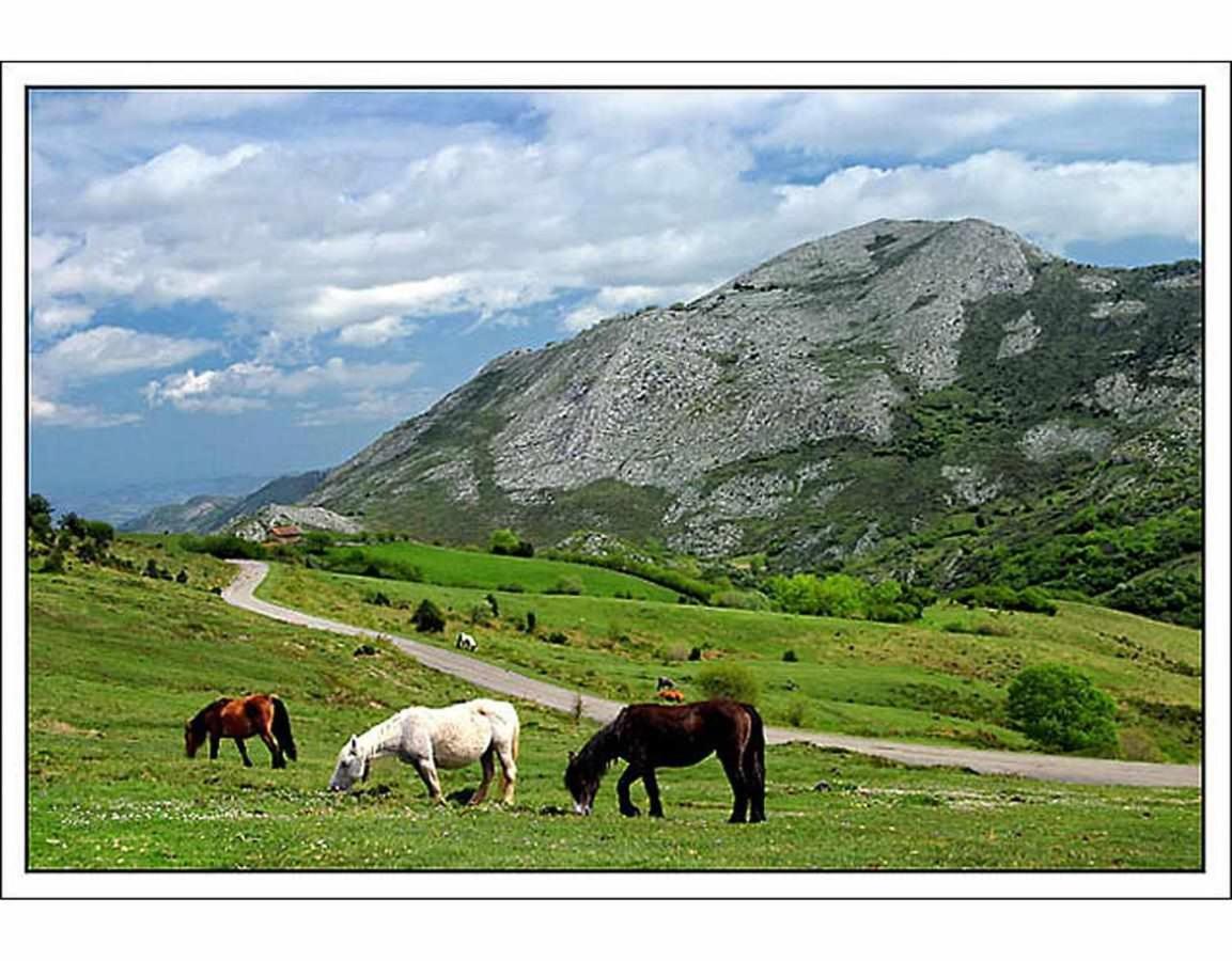 Casa Rural La Carrozal Senda Del Oso Orelleiru Bagian luar foto